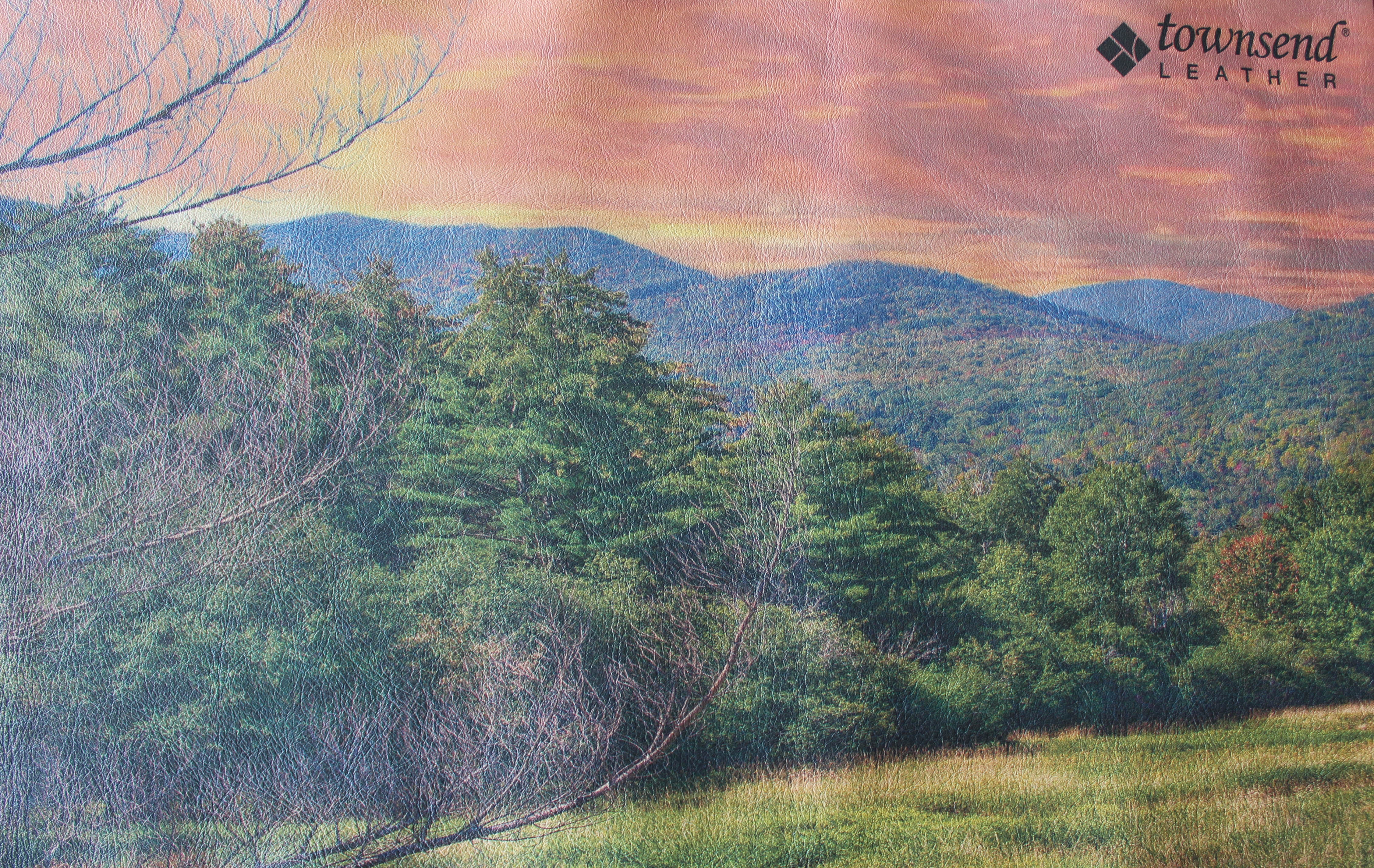 Townsend Leather Digitally Printed Custom Landscape Panel