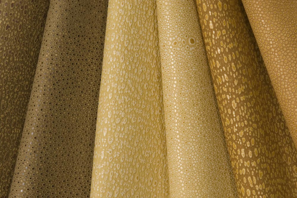 Townsend Leather's Fierce Fish Cowhide