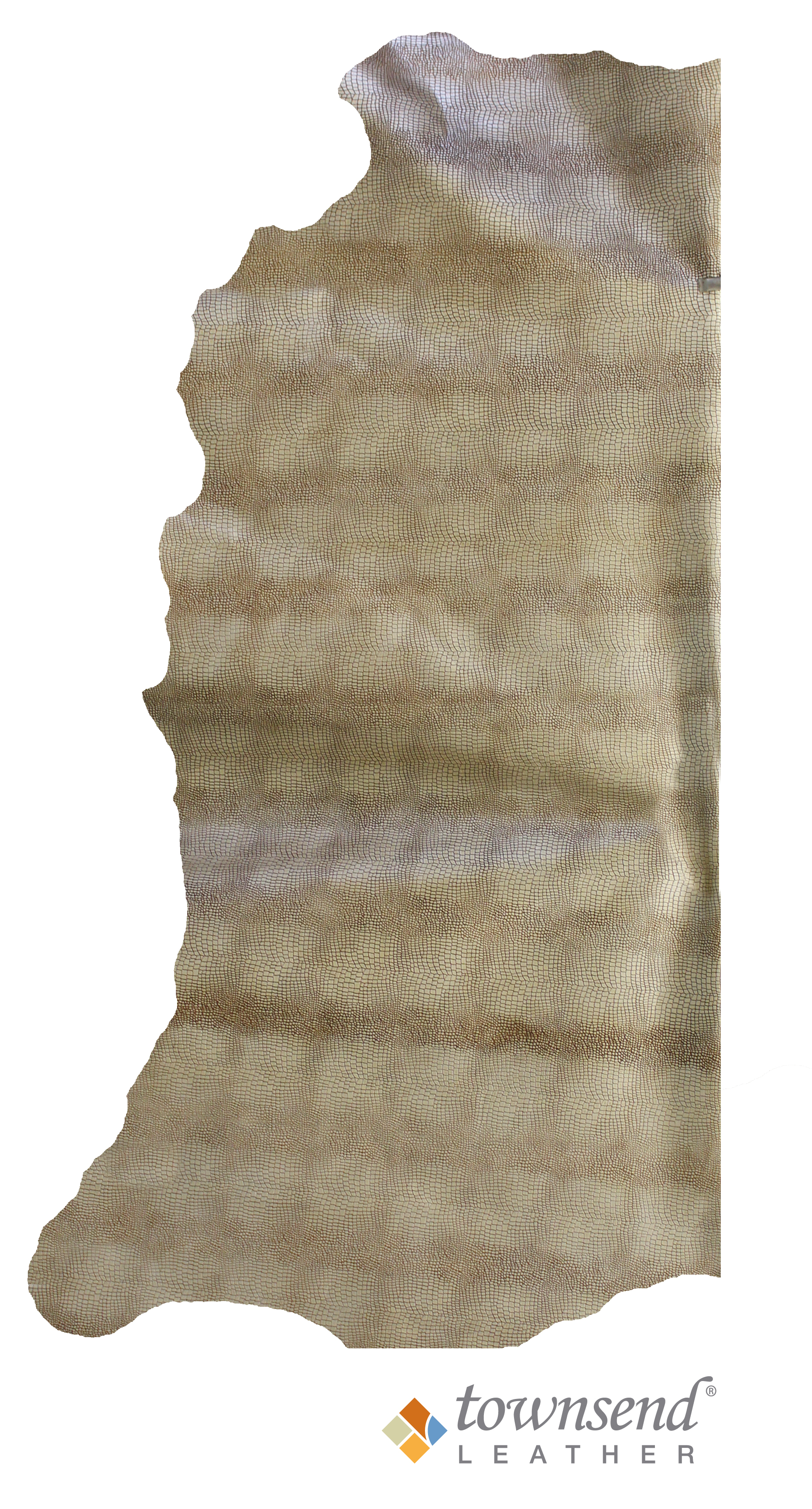 Townsend Leather's Razzle Dazzle Bullion Baby Gator