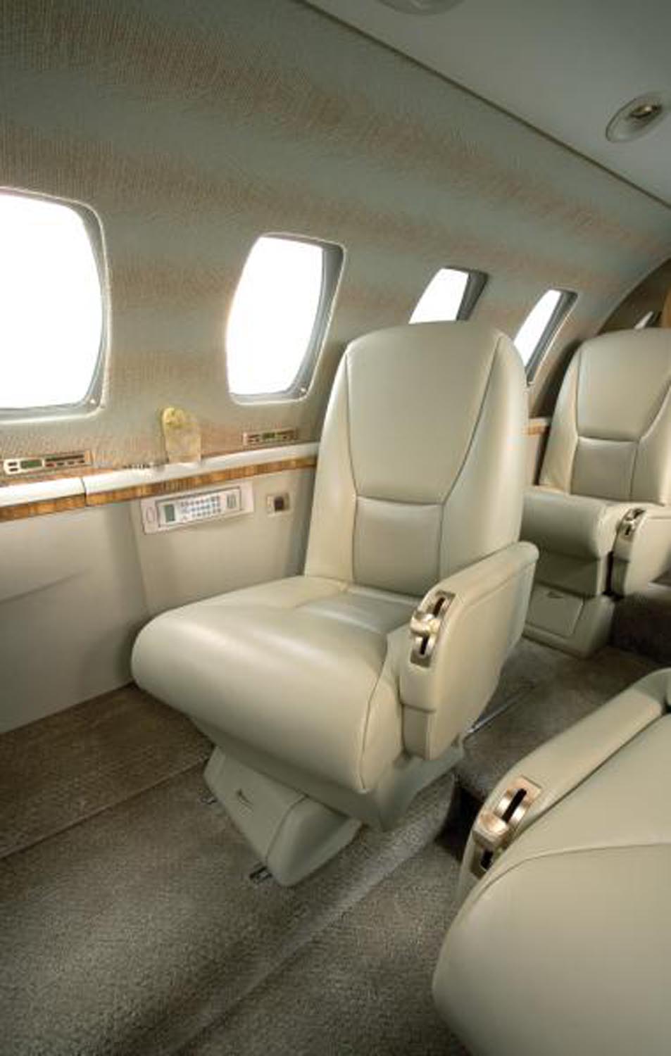 Townsend Leather's Pinnacle Cowhide Ski Slope