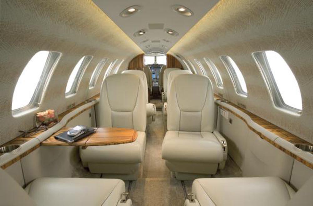 Townsend's Pinnacle Cowhide Ski Slope