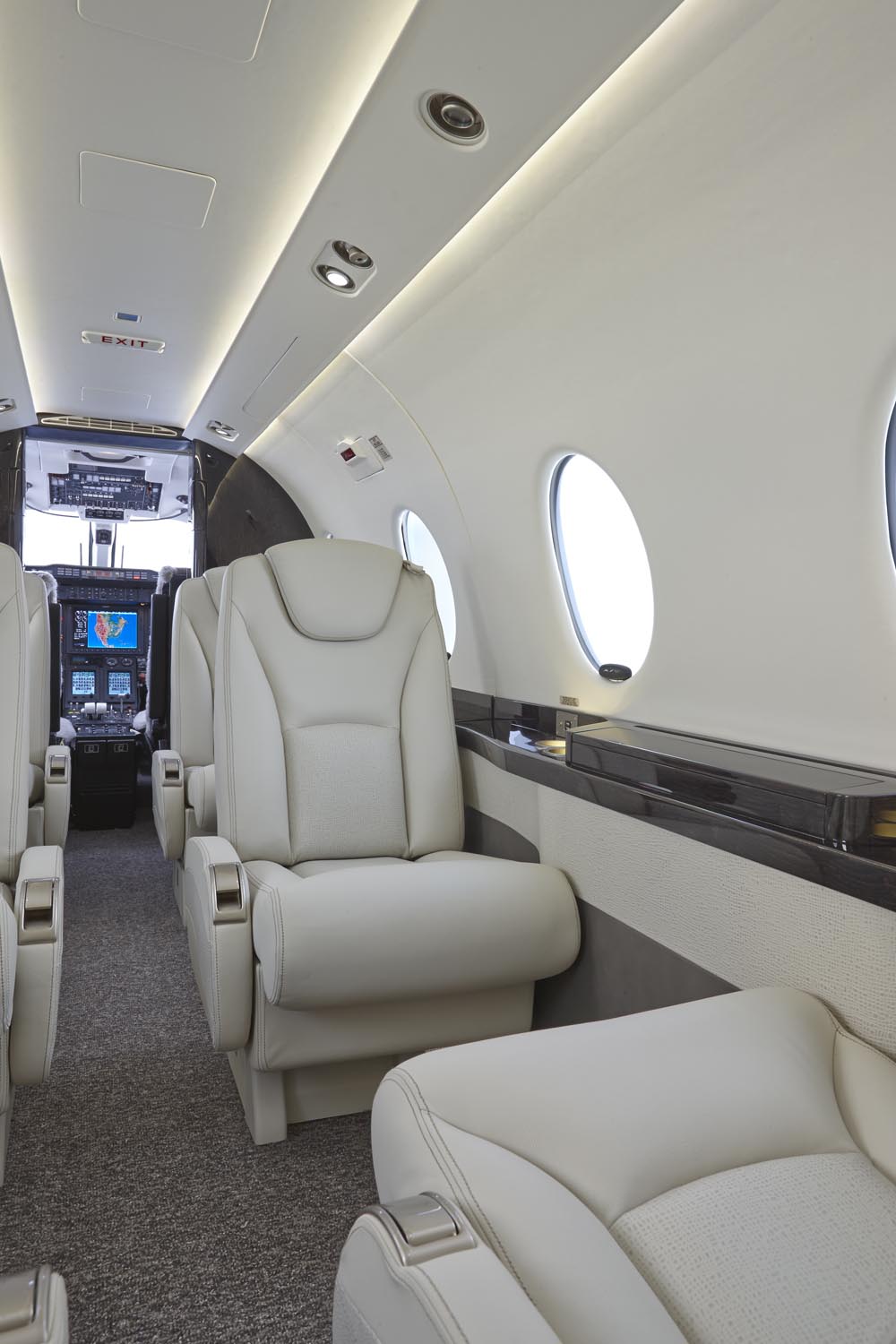 Stacy Garcia® Blue Label for Townsend Leather Kinetic Cowhide Electric White