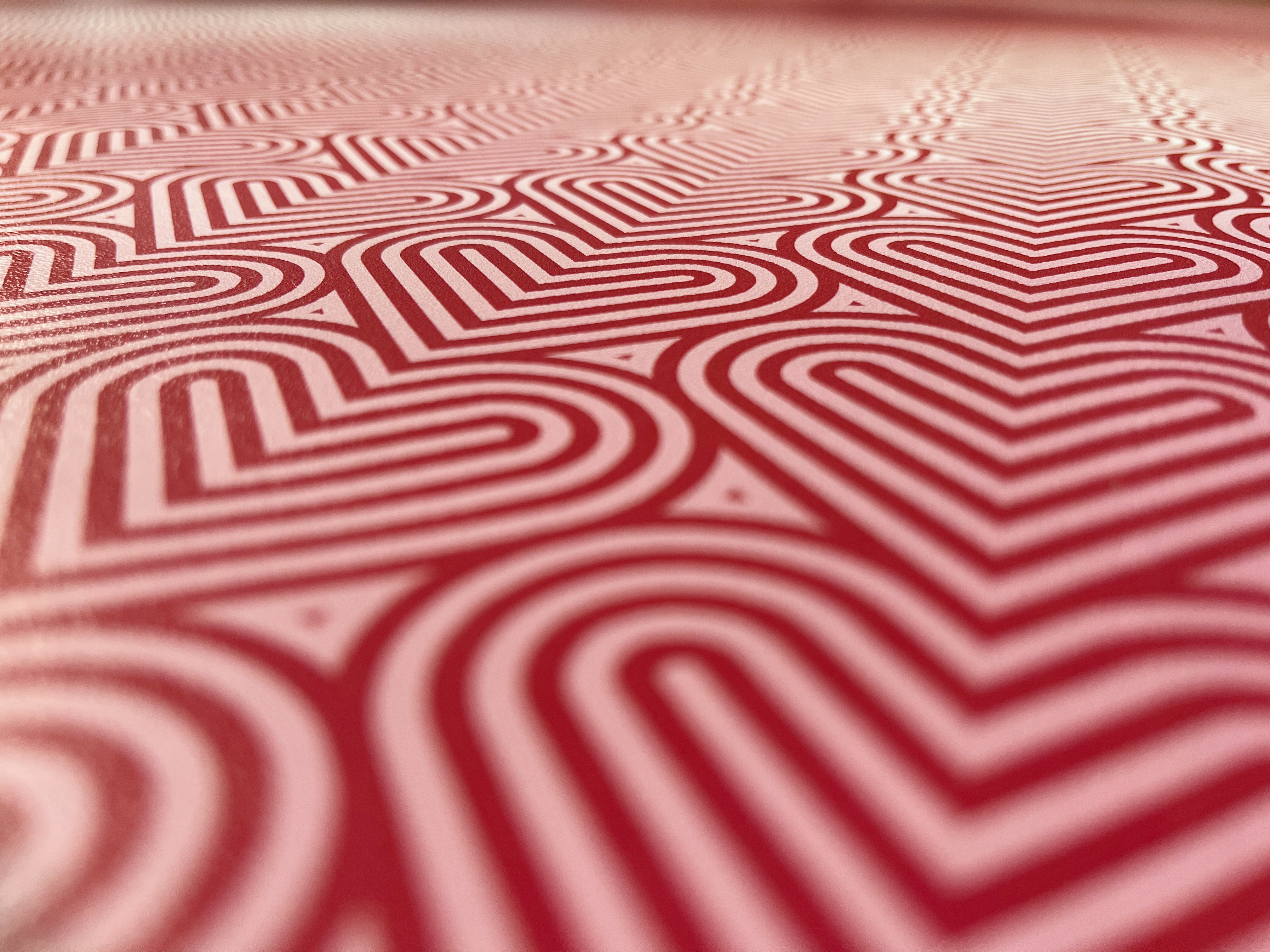 Digitally Printed Cowhide (DP)