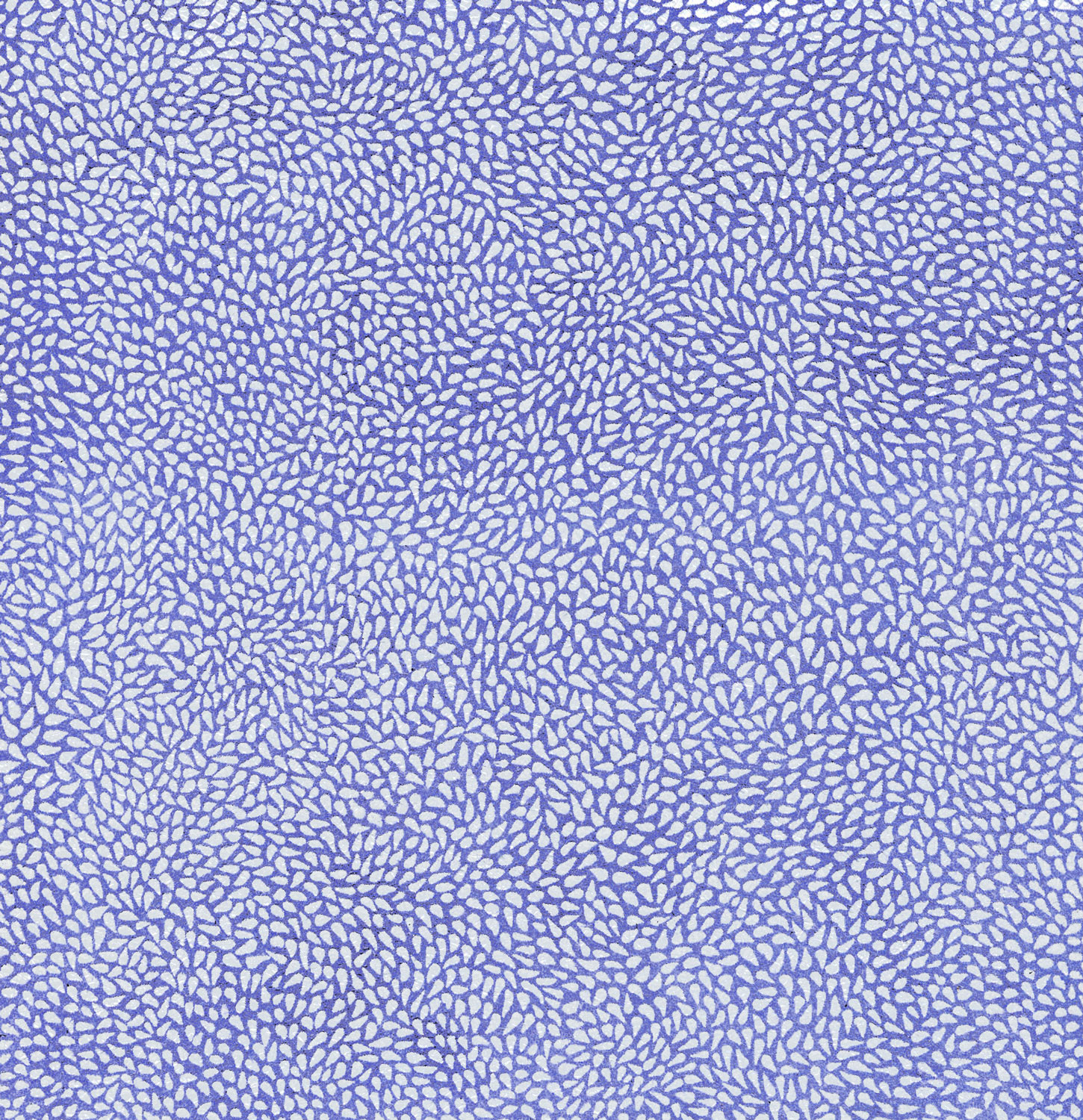 Shimmering Suede SHS-WFL-9022