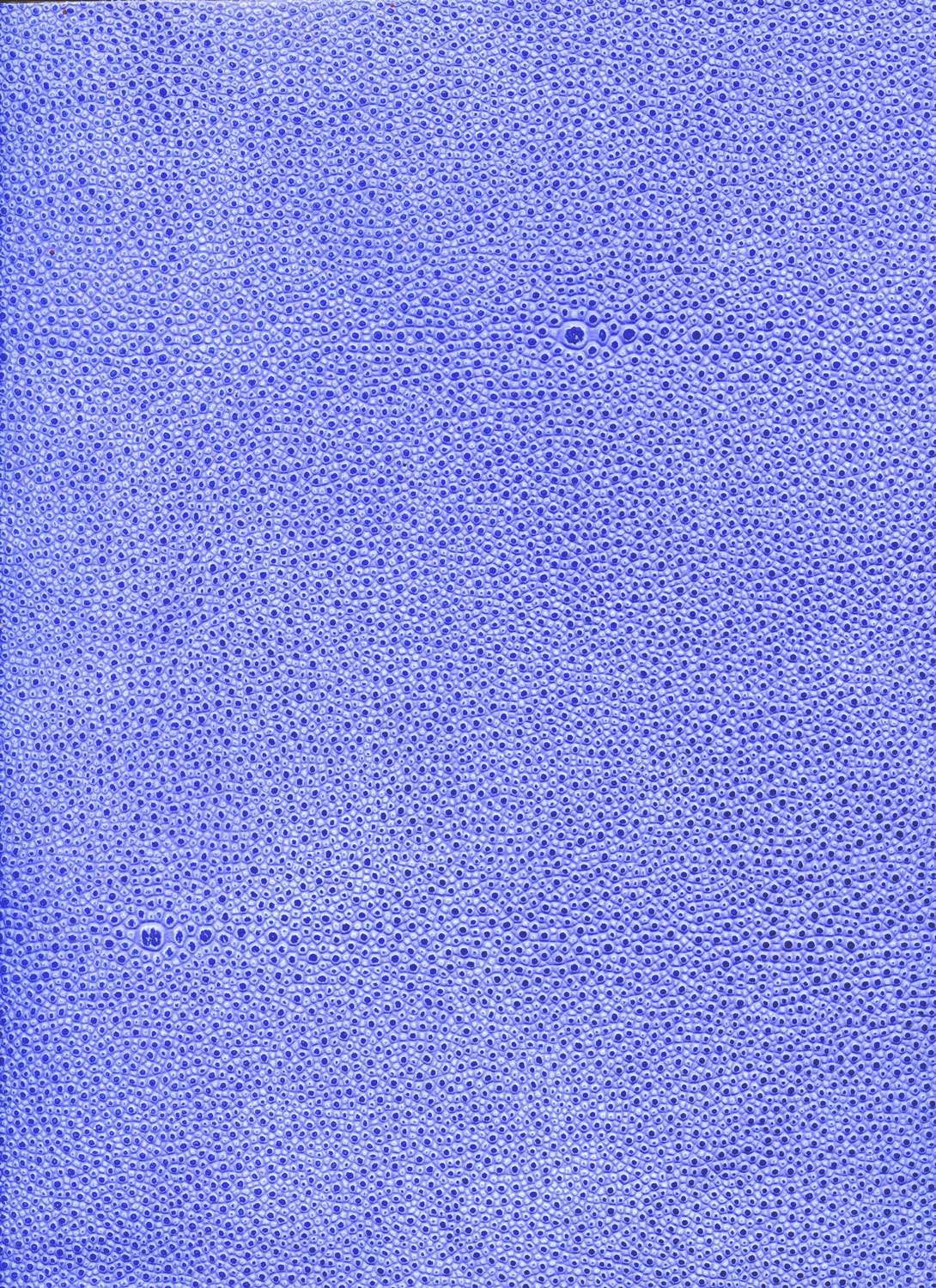 Fierce Fish ECL-9022-SR